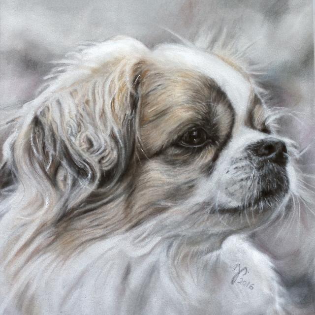 doggy days pallasch